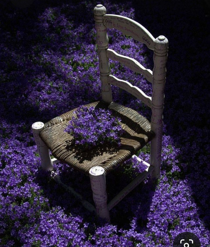 Screenshot_20230409_221459_Pinterest