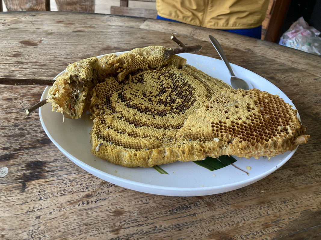 098A6D63-5CD5-4DE7-B4BB-F8F03BC773AE