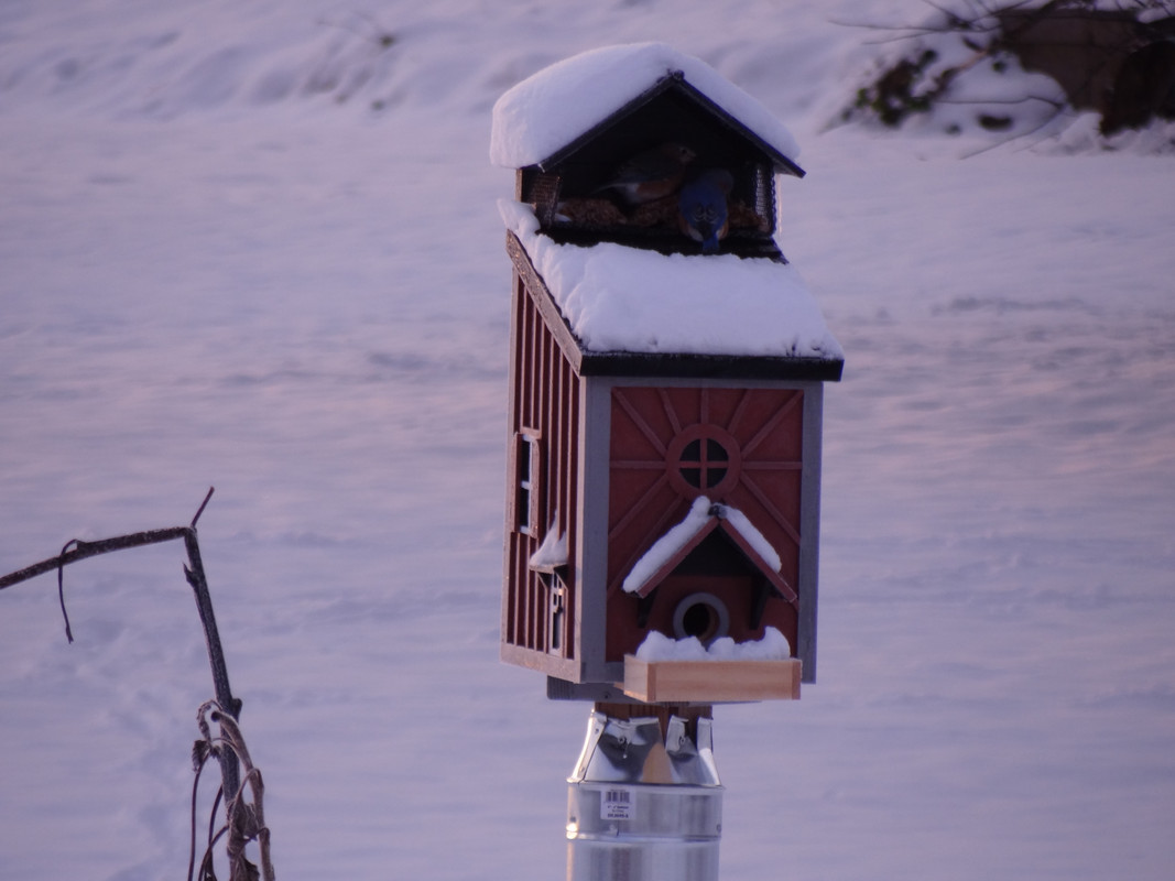 230D4E61-8FDC-4F2F-82C5-E3B1AFA1F940