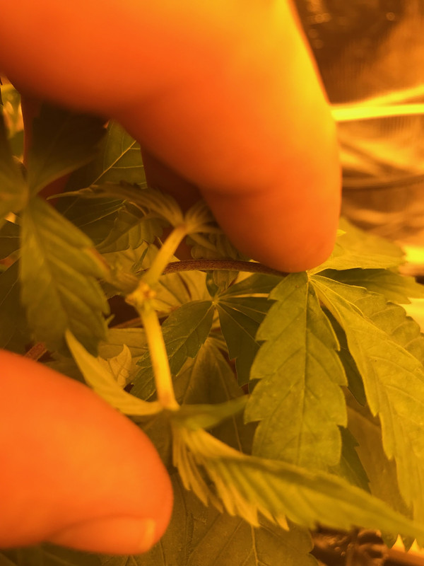 6A05D47B-3E2A-4EE5-BAA9-002F0682BBEF