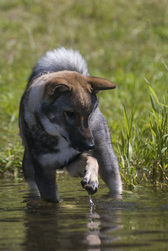 0FBEEF0F-C3D2-4CBC-A950-E2048A0C8855