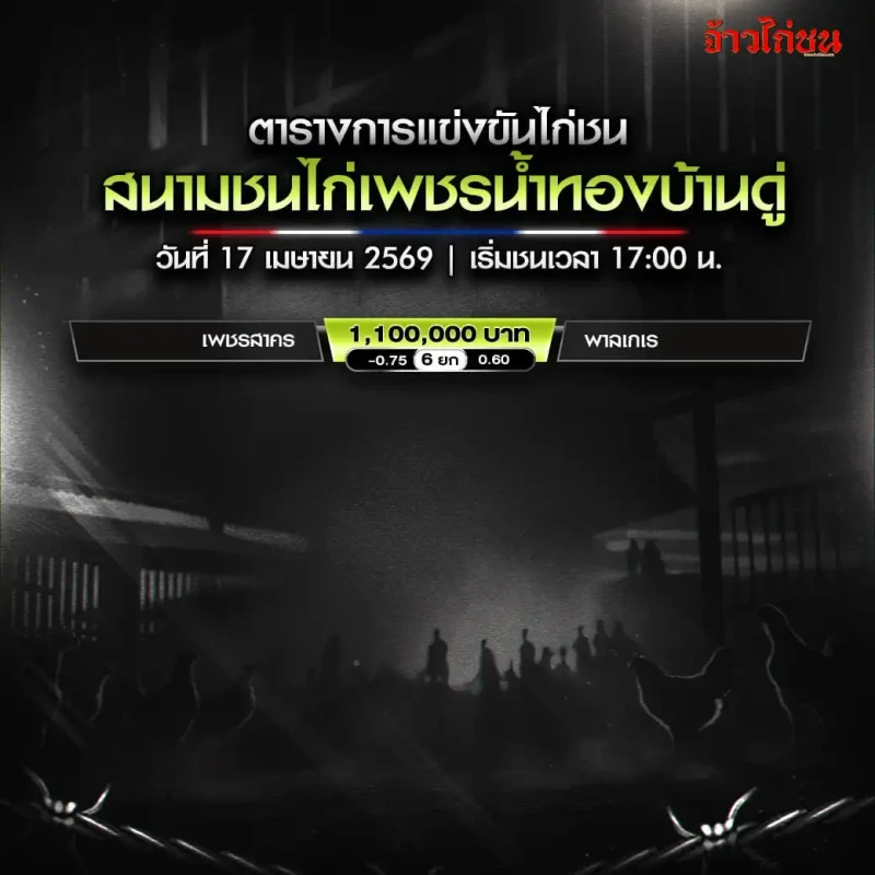 โปรแกรมไก่ชน สนามชนไก่เพชรน้ำทองบ้านดู่ วันศุกร์ที่ 17 เมษายน 2569