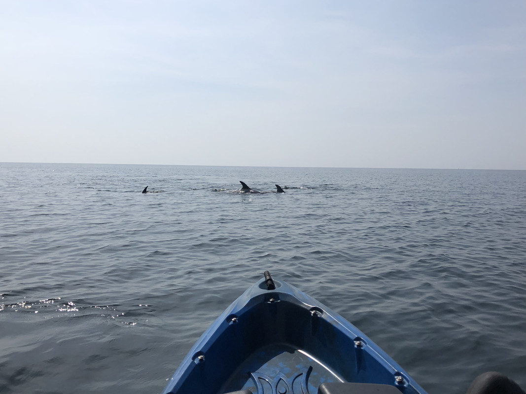 8F487562-0B0A-4C31-806C-D8BE96F93E91