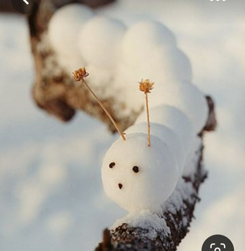 Screenshot_20230515_222442_Pinterest