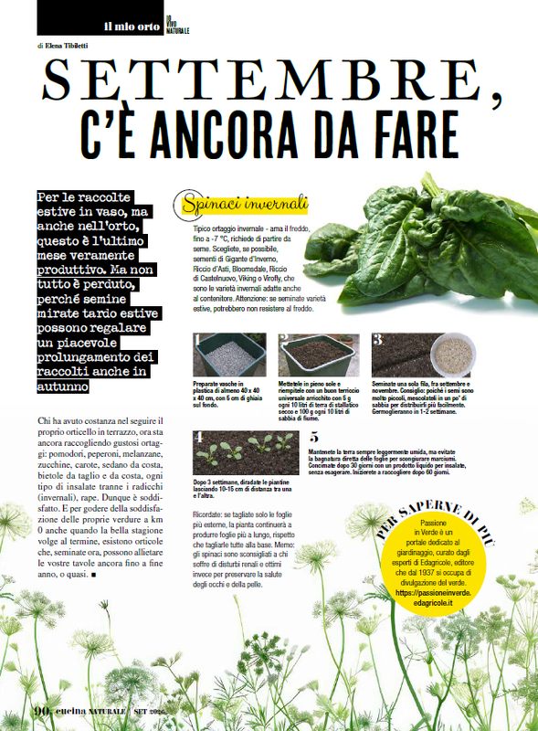 Cucina Nat Set 2026 (9)