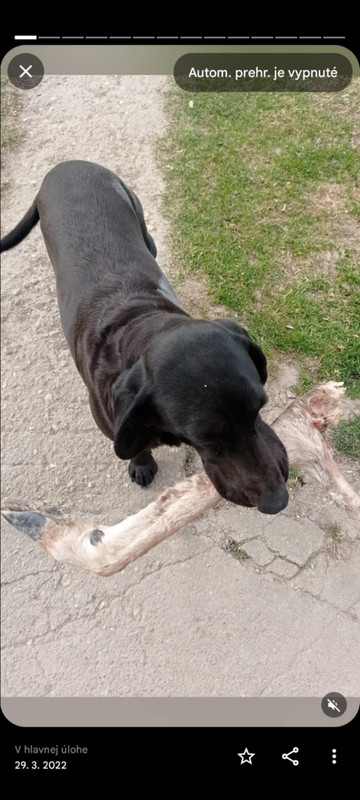 8b876788-9003-4365-8a8a-4c495ce5db0f