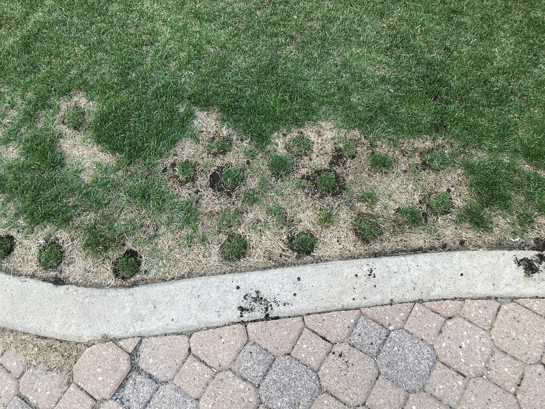 E404B706-B26E-44AD-ACA2-68D549BC1C86