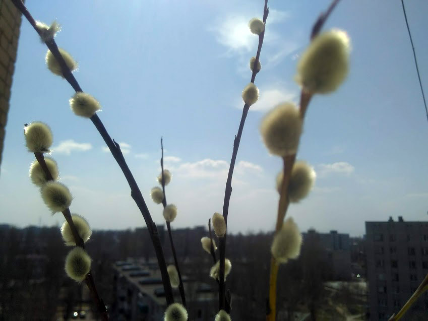 IMG-2019-04-21-120917.jpg
