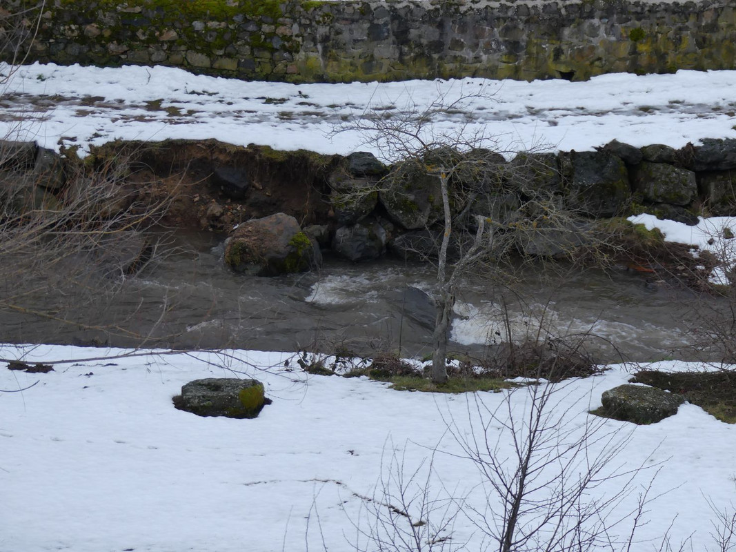 P1100263.jpg