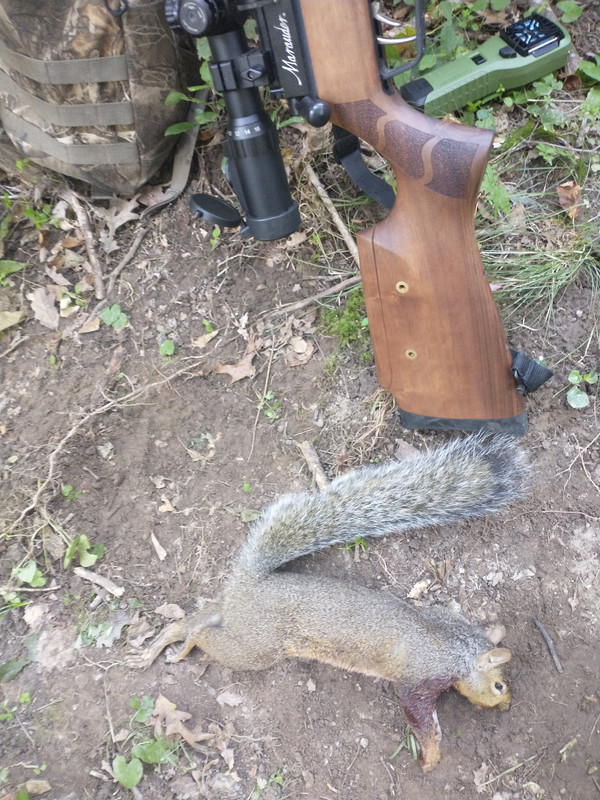 IMG_20220922_175345846