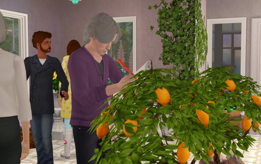 Sims2-EP9-RPC-2021-04-02-15-13-24-01
