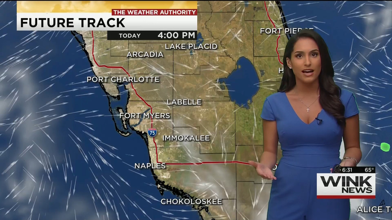 11.28 - 11.00.00 - WINK News This Morning..ts_snapshot_32.26.470