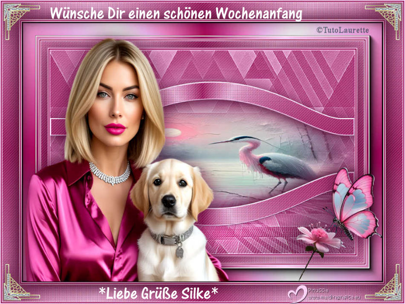 An den Beitrag angehängtes Bild: https://i.postimg.cc/CKbvJz5y/eliette.jpg