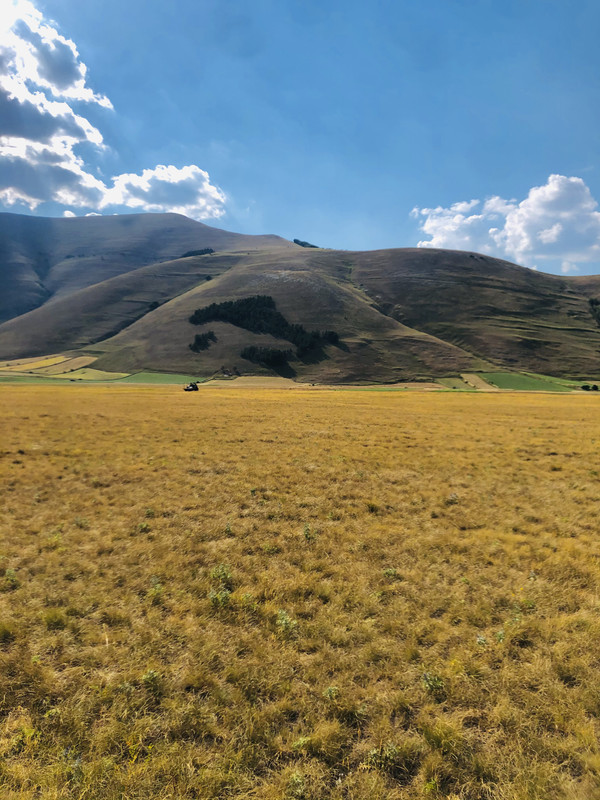 6356B911-44FA-42AA-AE8F-E95C54E81DE5