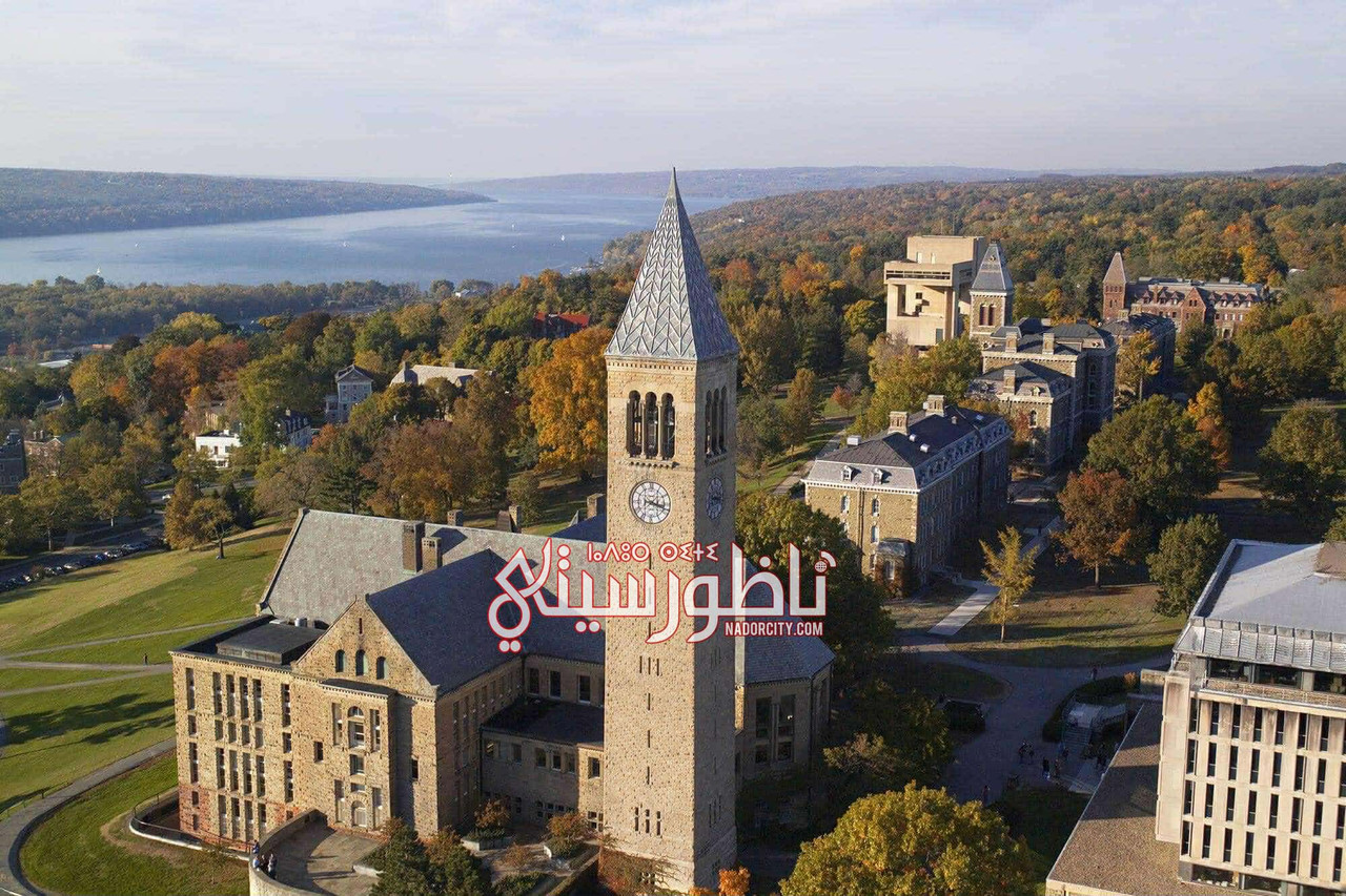 598131101-1547650059814722-5527181911128180237-n