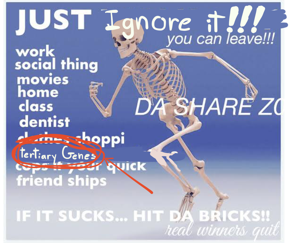 CE13E07B-BC4F-4BE4-97B9-602AFAF8565B