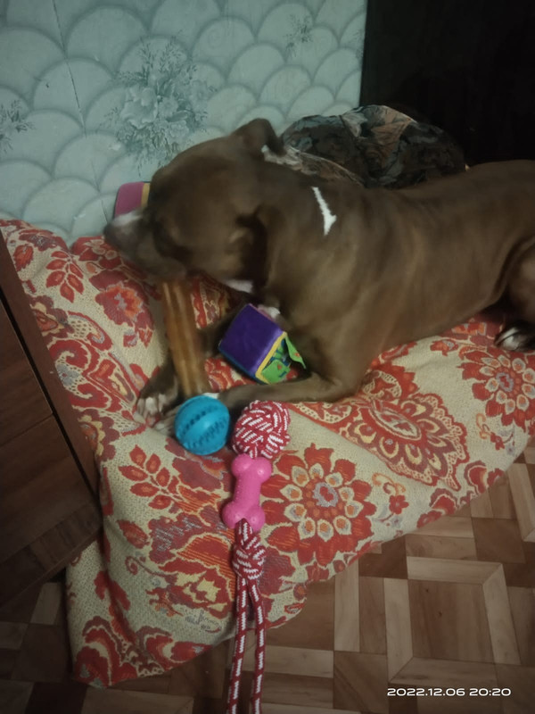 45C7B5BD-5F1B-4304-A0BB-C69436338E19