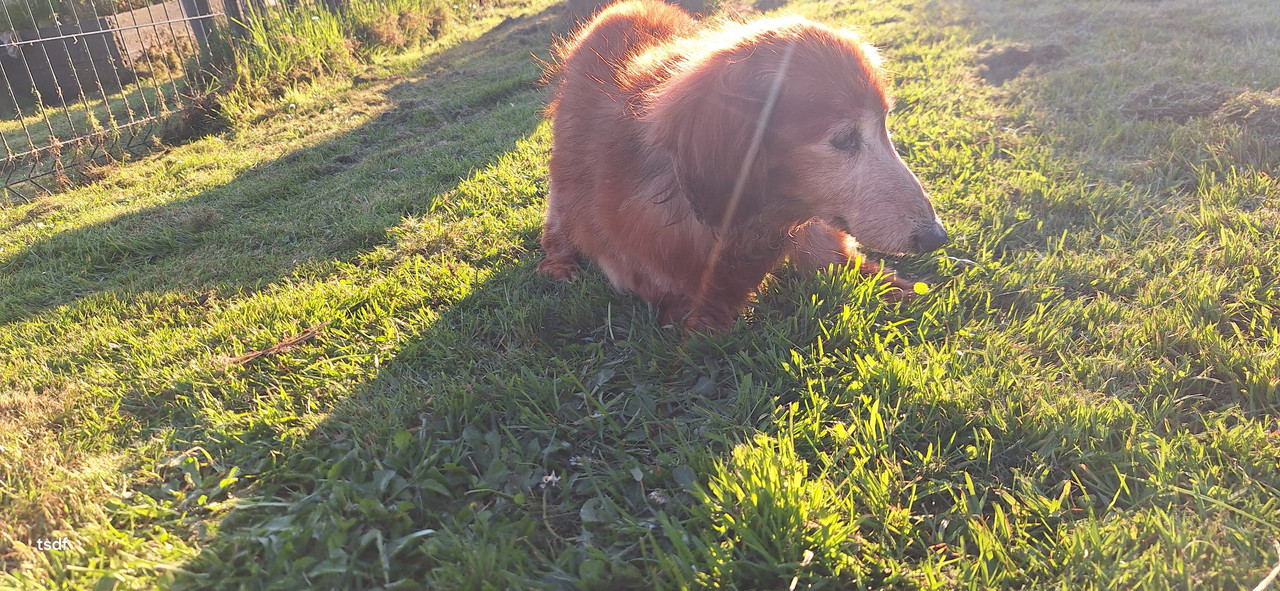 [Image: 20250331-190748.jpg]