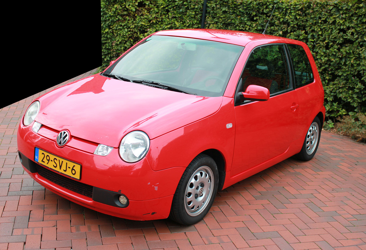 Lupo_rondom_2