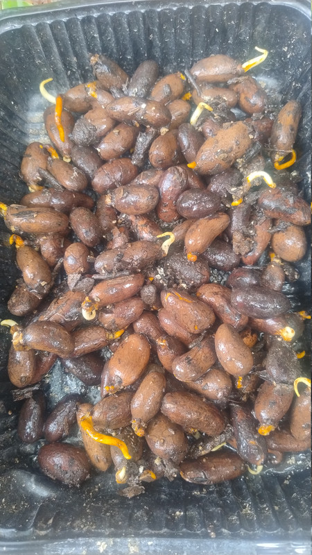 IMG 20260527 140334072