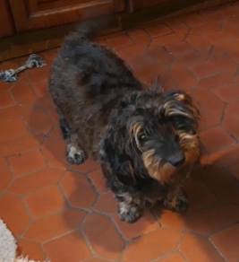 [Image: 20221012-183338.jpg]