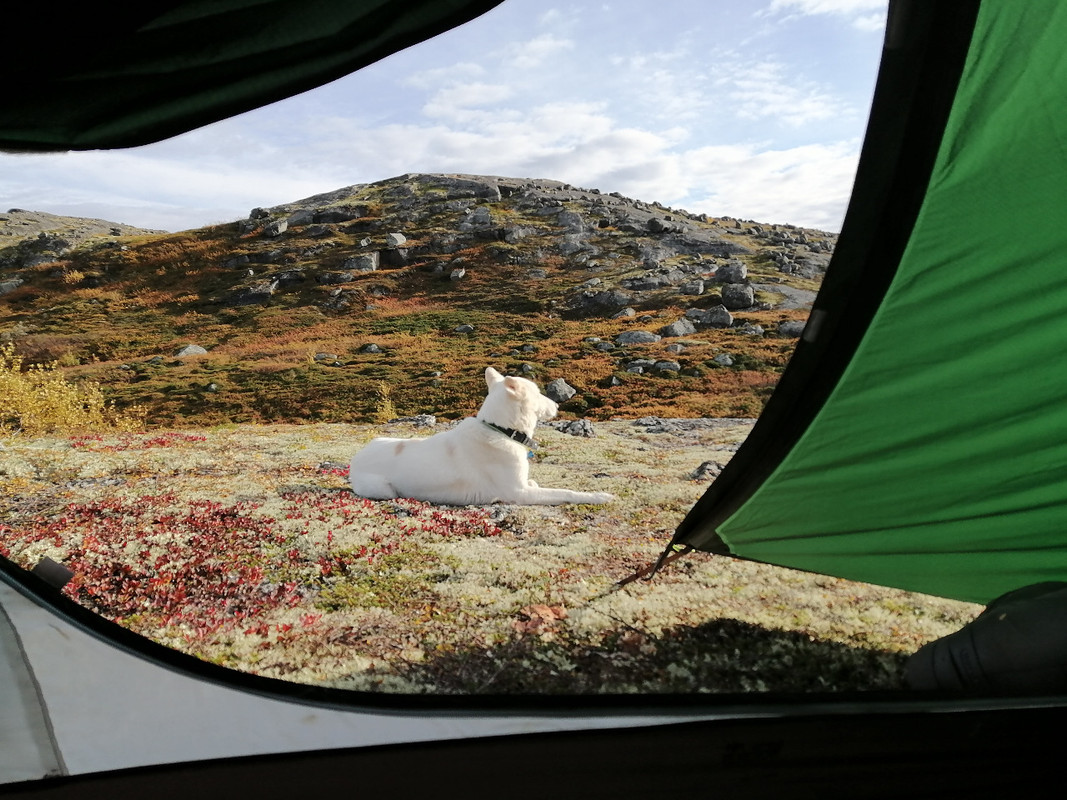 E2091510-6471-4F84-B2C8-EBA3DC0CBB77