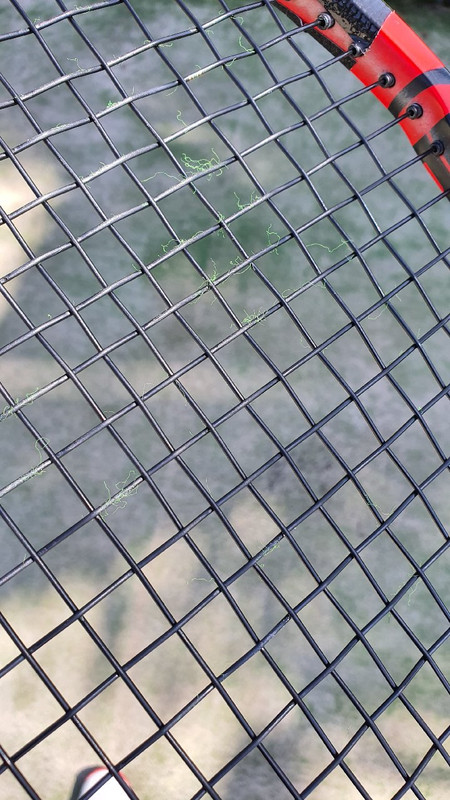 20200121-091728.jpg