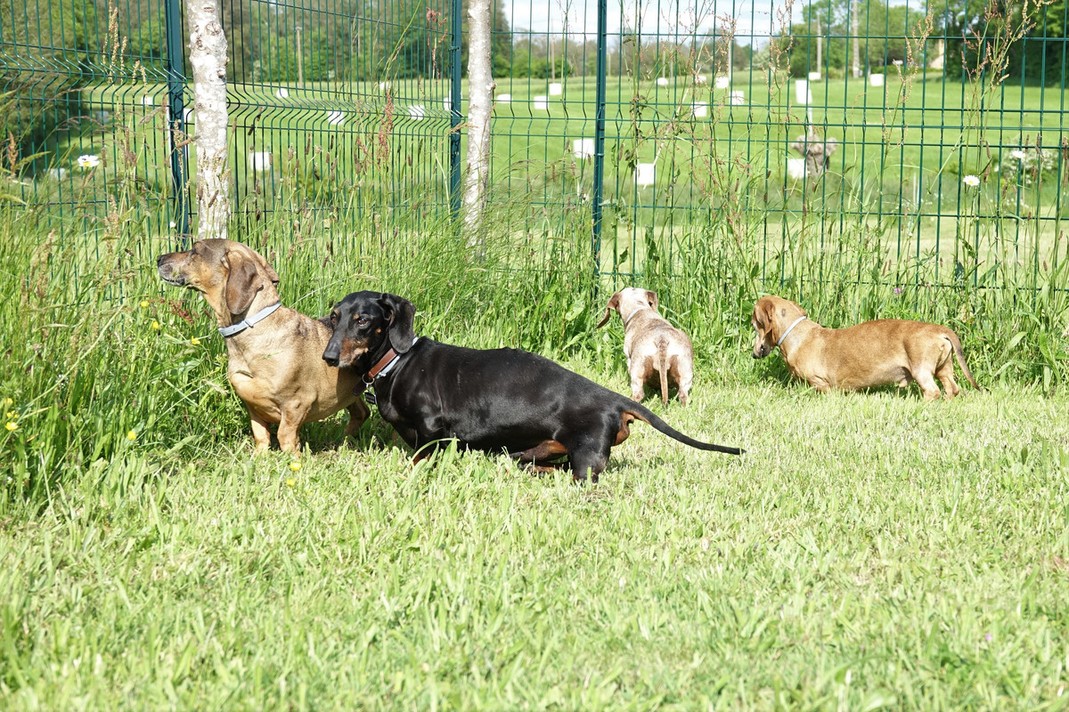 [Image: DSC00115.jpg]