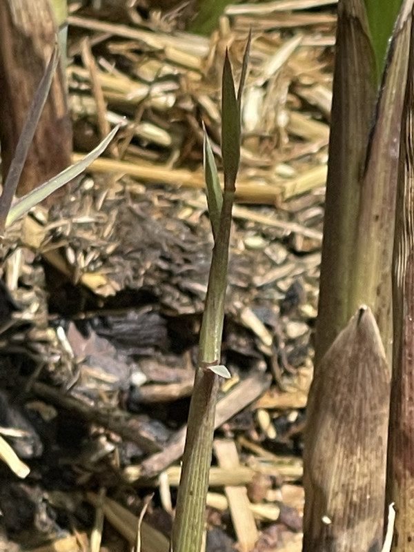 0DB2A517-14AF-496C-8E79-3610FEA3CCE1