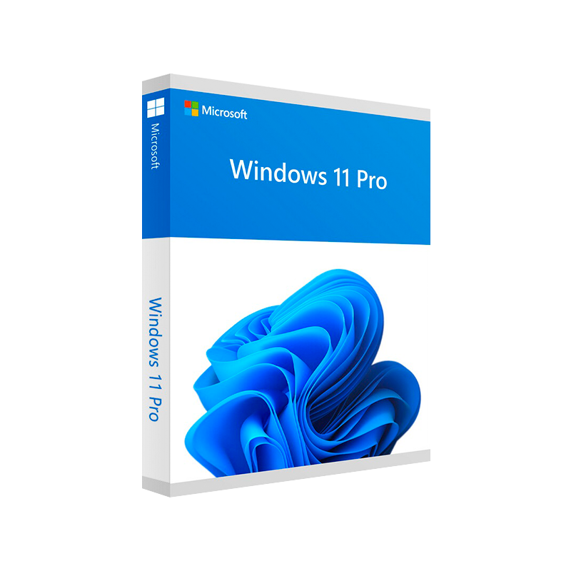 Windows 11 Pro