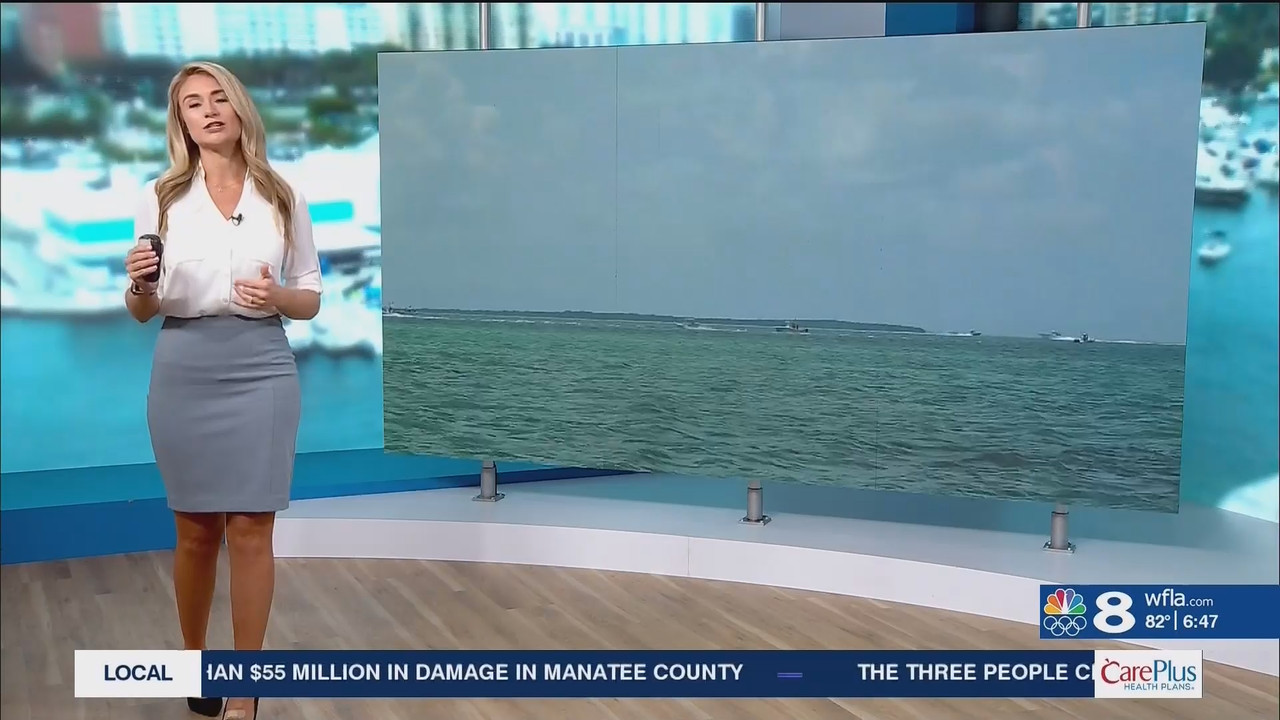 NewsChannel 8 Today at 6a_20240809_11001200.ts_snapshot_00.48.10.677