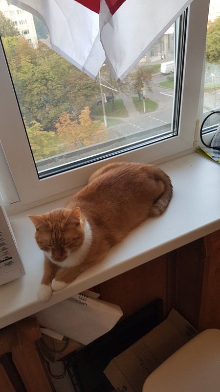 1874B92E-3B5B-4F09-A3B6-F13B6040BA45