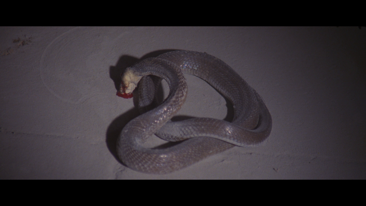 vlcsnap-2022-12-18-20h16m43s884