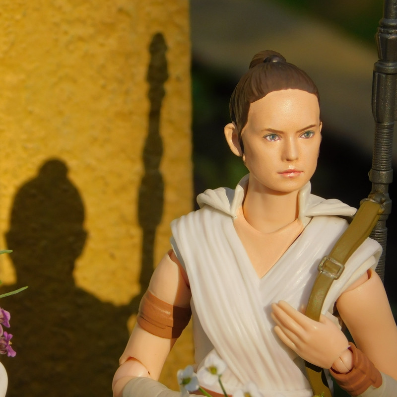 Дачно-Харлинский июнь-июль 2024 232