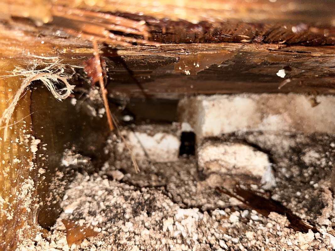 1AA70BD4-ADC7-4560-AEF5-5FE959853370