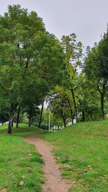 [Image: z20241002-103127.jpg]