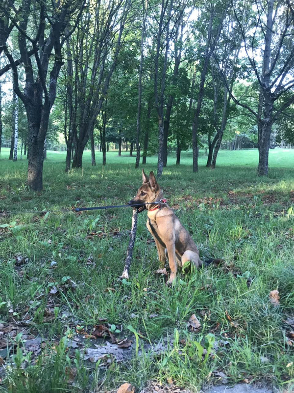 изображение_viber_2019-08-13_10-25-19