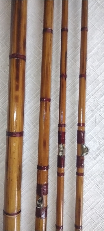 IMG_20220410_111127609