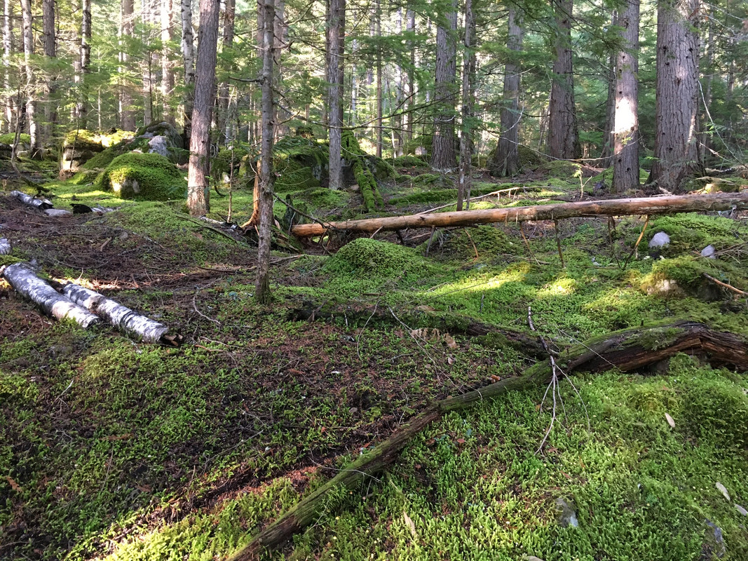 F6B86FEF-DCF1-4959-9525-AB5598AC0039