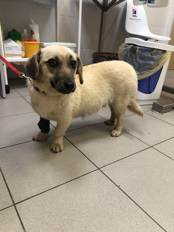 FE1B0027-0C95-48F7-A2C1-E53599D9BB54