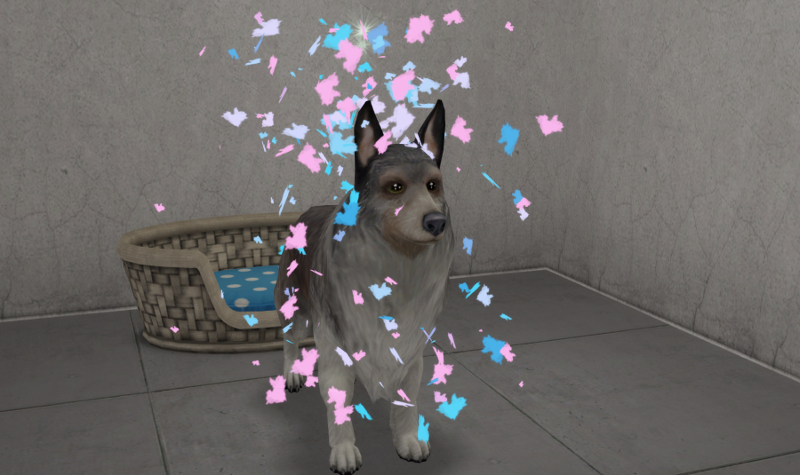 Sims2-EP9-RPC-2021-04-21-22-53-35-25