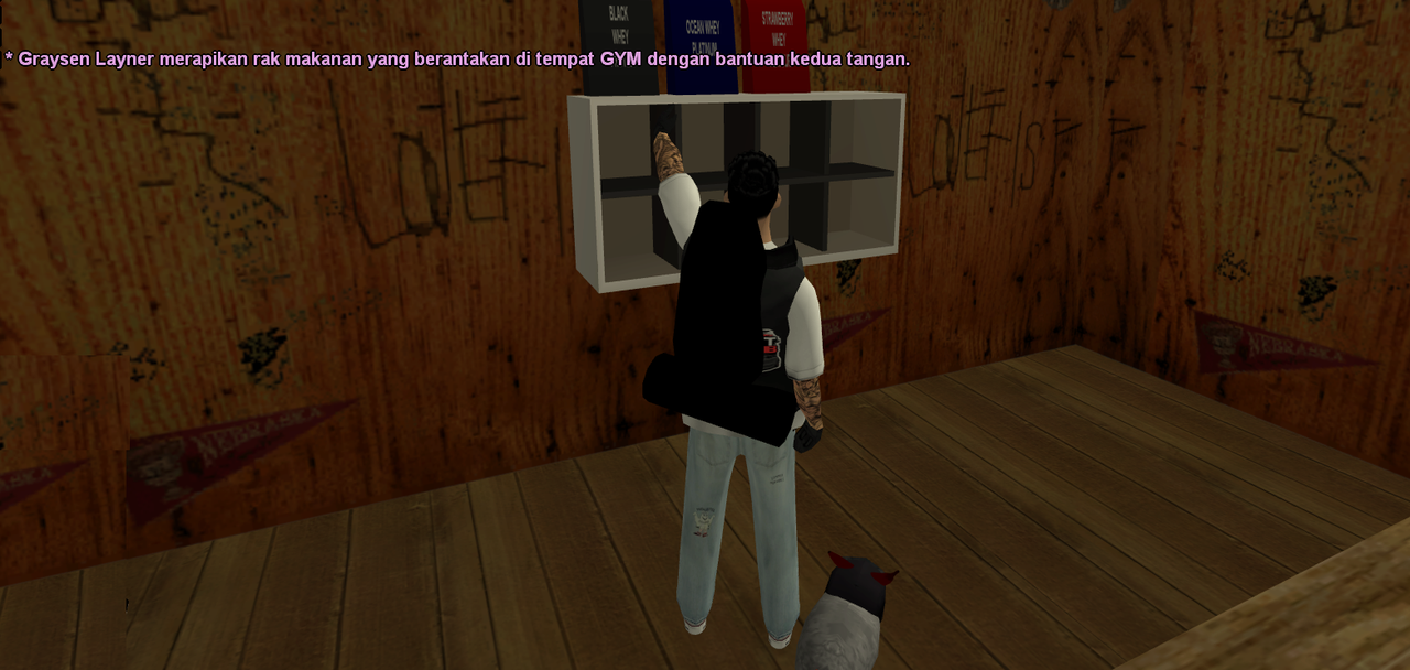 samp-16-11-2024-05-18-02.png