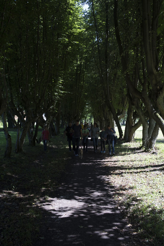 17.03 - NEW_9214 (Konfiturek)