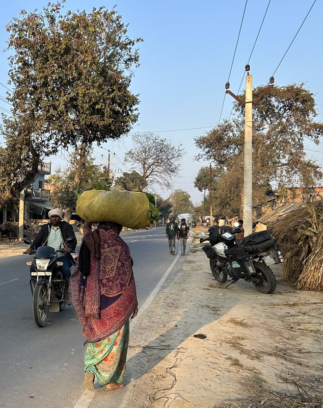 india (3)