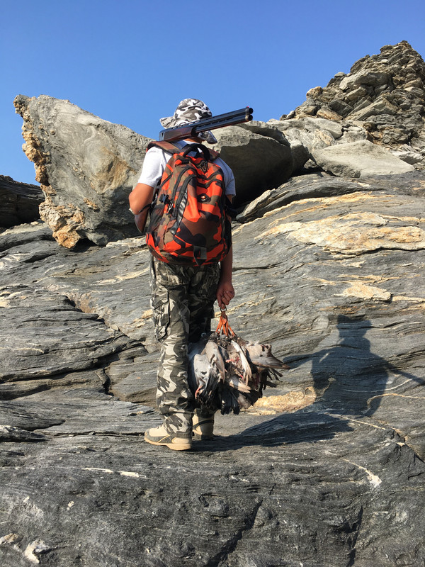 A95D2C7D-0DEE-4A1F-B527-393E9741B84F