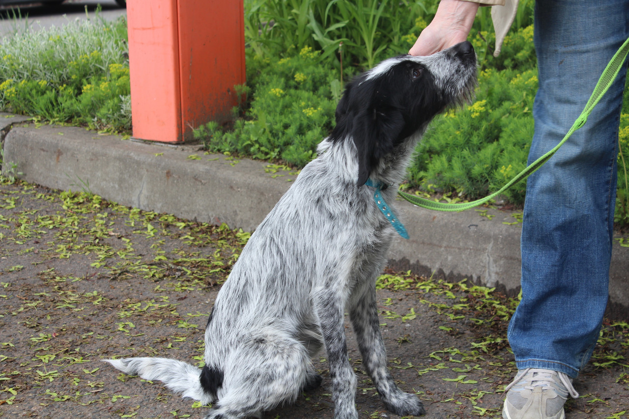 IMG 4399