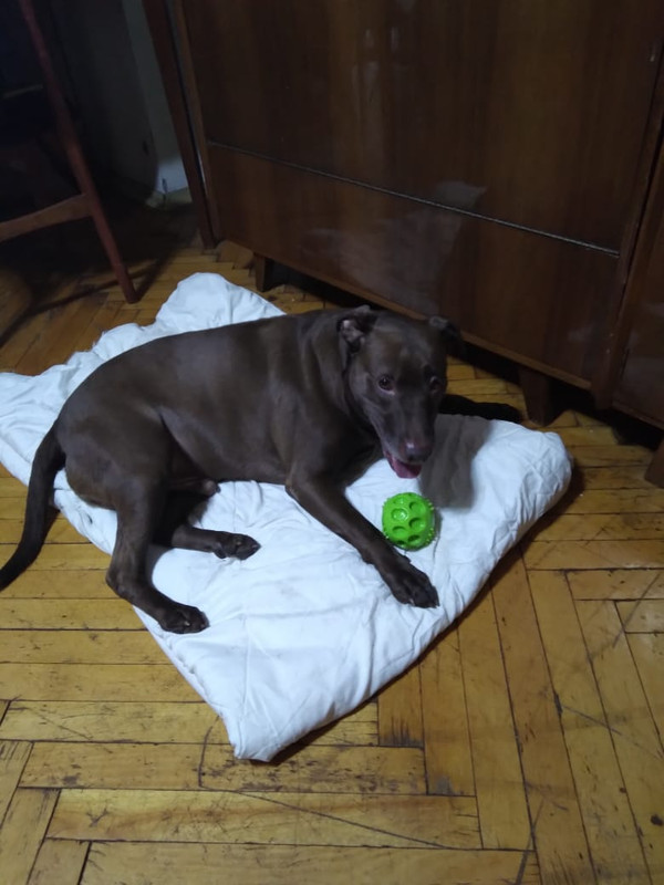 FFB25C9A-1F96-48A4-AD44-B17C7799DEBD