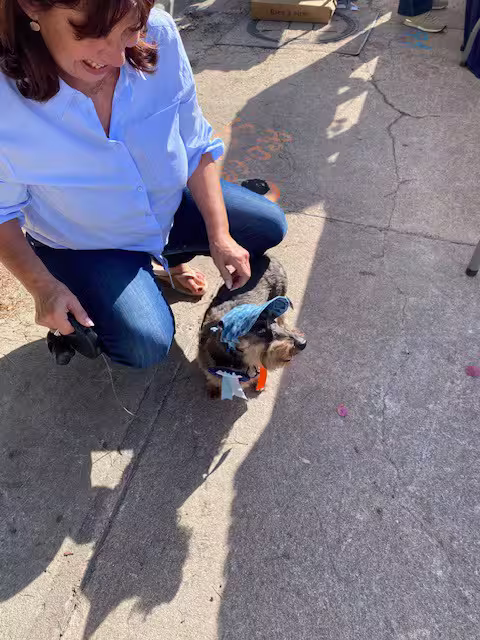 [Image: temp-Image-GCAZZV.avif]