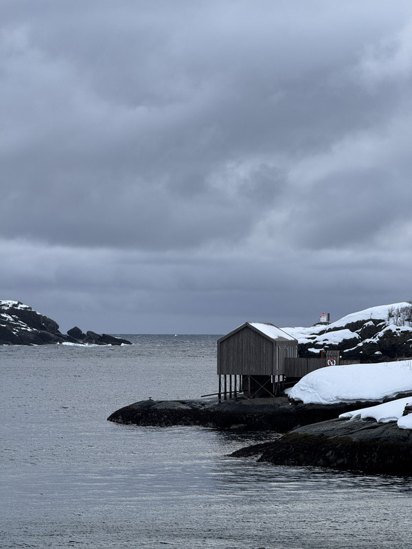 [Immagine: IMG-8805.jpg]