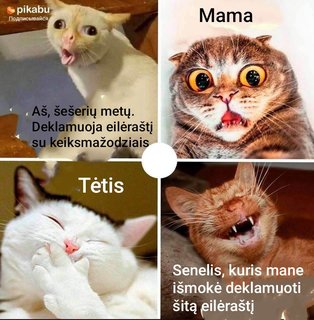 Paveikslėlis